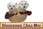 bienvenue
